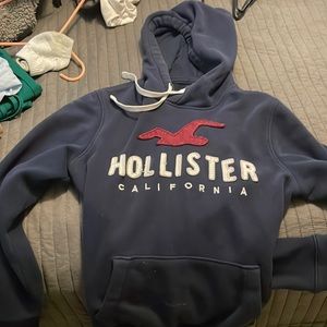 Hollister Hoodie Small Navy